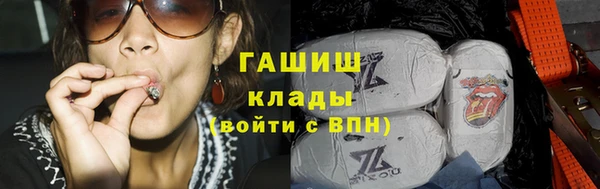 прущие грибы Белокуриха