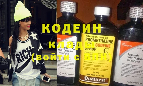 шишки Богородицк