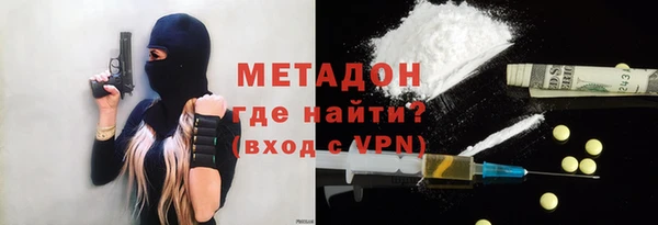 прущие грибы Белокуриха