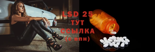 прущие грибы Белокуриха