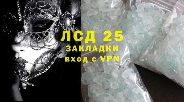 прущие грибы Белокуриха