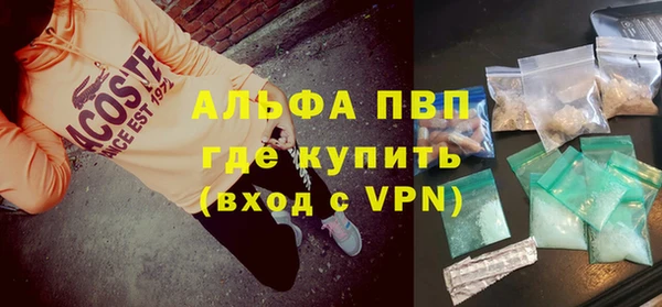 прущие грибы Белокуриха
