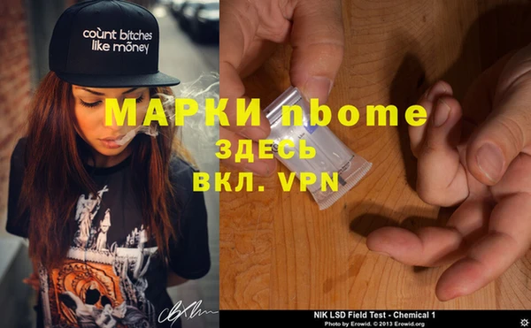 прущие грибы Белокуриха