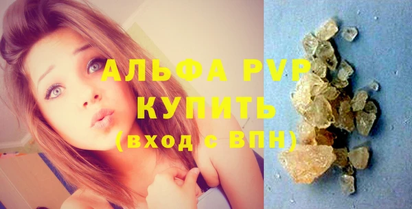 прущие грибы Белокуриха