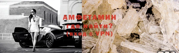 прущие грибы Белокуриха