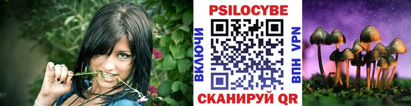 Псилоцибиновые грибы Cubensis  Новый Уренгой 