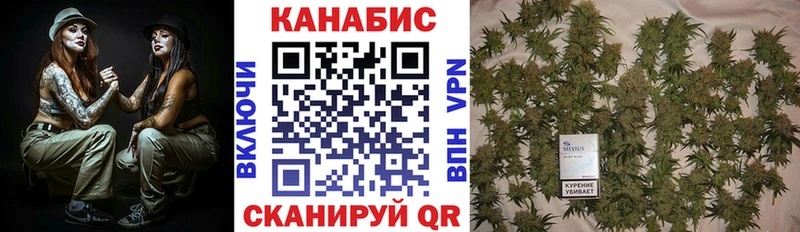 Марихуана гибрид Новый Уренгой